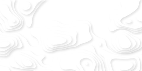 Abstract background vector Abstract wavy line 3d paper cut white background. Abstract pattern with lines. Abstract sea map geographic contour map and topographic contours map background. © armans