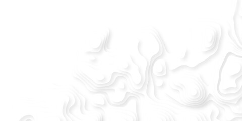 Abstract background vector Abstract wavy line 3d paper cut white background. Abstract pattern with lines. Abstract sea map geographic contour map and topographic contours map background. © armans