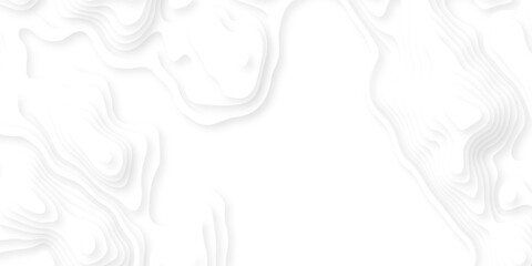 Abstract background vector Abstract wavy line 3d paper cut white background. Abstract pattern with lines. Abstract sea map geographic contour map and topographic contours map background. © armans