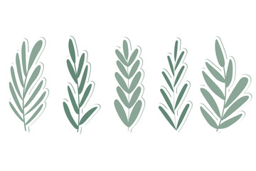 Fototapeta premium set of vector plant stickers in green color on white background.