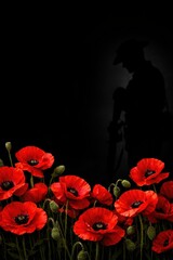 Anzac Day remembrance with poppies and a soldier silhouette