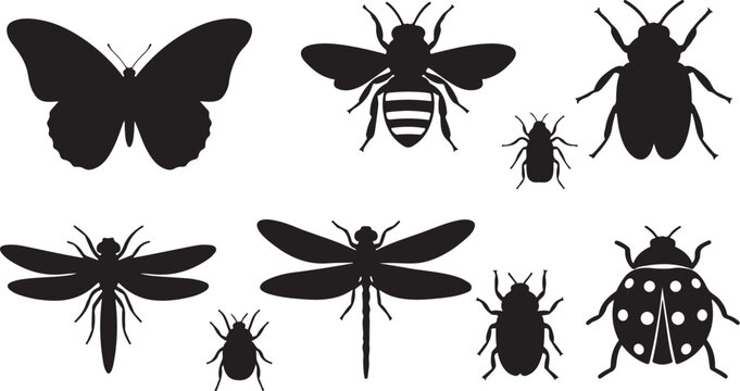 Insect silhouettes on a white background illustration set