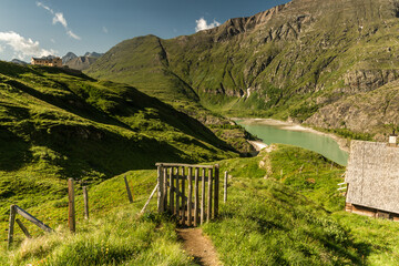 Green Alpine Meadows and Peaks in Austria