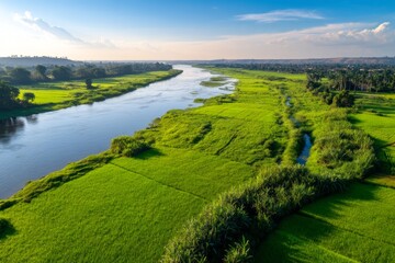 Fototapeta premium Aerial View of the Winding Nile River Surrounded by Lush Green Fields and Vegetation