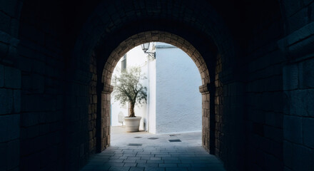 Ancient stone archway frames entrance to a white Mediterranean alley with a potted olive tree. Traditional architecture and travel concept.