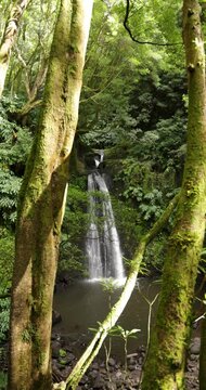 Salto do Prego waterfall in a lush green forest of Azores.