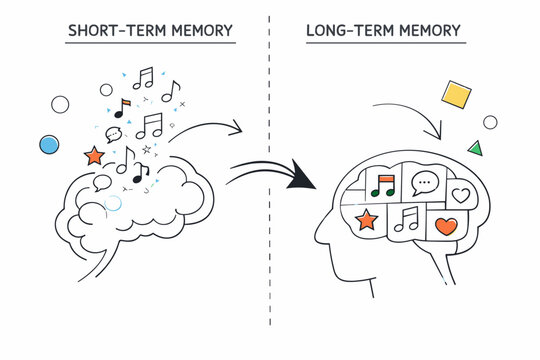 Short-Term vs Long-Term Memory. Split scene with two abstract brain icons, one releasing fading notes and symbols, the other storing them inside organized
