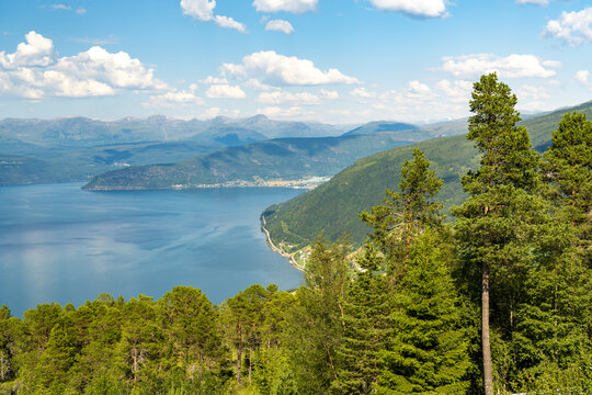 View of serene blue watersof Innvik Fjord meet lush green forests under a bright sky dotted with fluffy clouds, creating a tranquil vista, Utvik, Vestland, Norway.