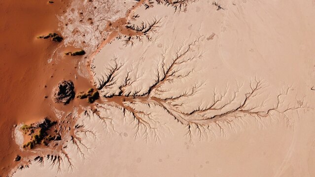 dry river in desert