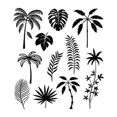 Tropical Palm Tree Silhouette Collection Vector Set