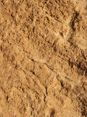 Cracked Dry Soil Texture Background in Arid Desert Landscape