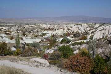 Fototapeta premium Volcanic Rock Formations and Cave Houses in Cappadocia, Turkey