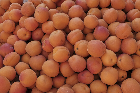 abricots en vrac sur un &eacute;tal