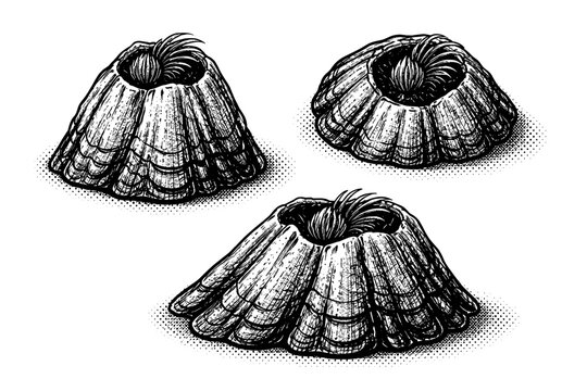 Barnacle A realistic barnacle with conical shell structure and layered calcified plates, shown as the same barnacle in three different views to emphasize form
