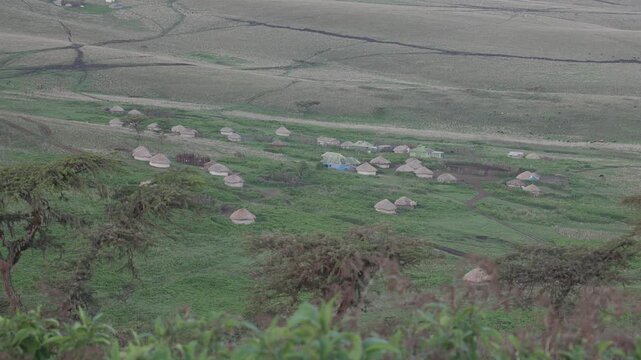 Maasai boma village with cows in Ngorongoro, Tanzania