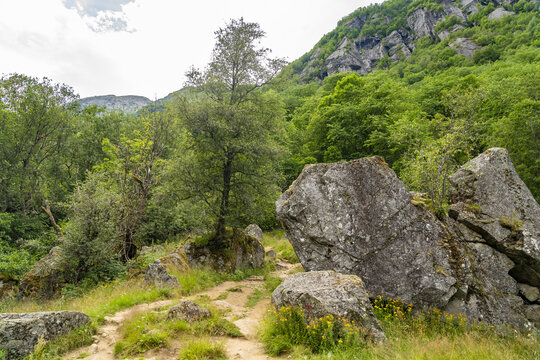 View of moss-covered rocks and verdant trees line a path, leading up to a towering, cliffside mountain, under a soft, overcast sky, buarbreen, Odda, Norway.