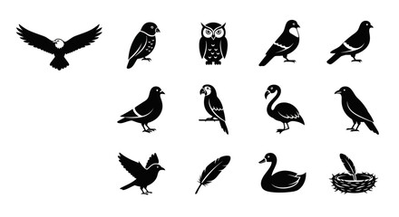 Obraz premium Black silhouettes of various birds in different poses and species