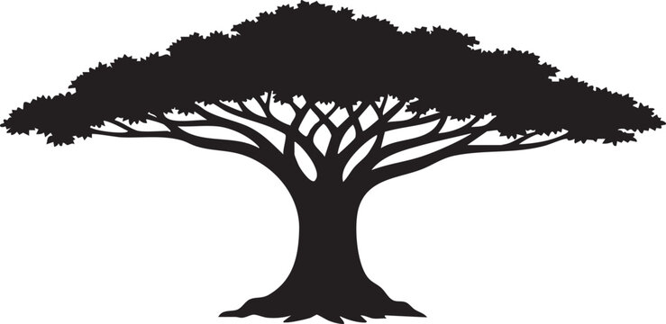 Giant Kapok Tree Massive Buttress Root and Wide Canopy Silhouette