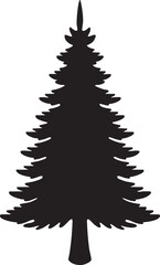 Obraz premium Norfolk Island Pine Symmetrical Tiered Conical Tree Silhouette