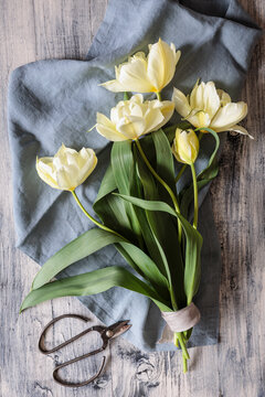 Bouquet of spring green tulips on wooden background in studio setting