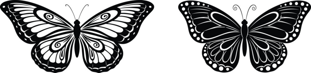 Obraz premium Pair of detailed black and white butterfly illustrations with intricate patterns