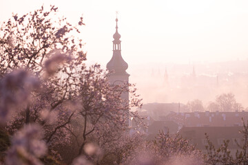 Tower with a spire surrounded by blooming cherry blossom trees in a misty landscape during early morning light, creating a serene atmosphere in the background