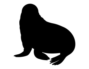 Arctic set 2 sil © Alisles