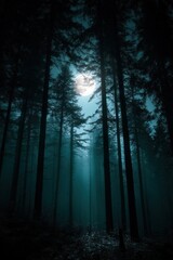 Obraz premium Full moon shining through forest trees at night