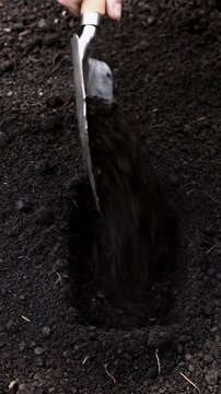 Hand digging into dark brown soil with a small shovel.