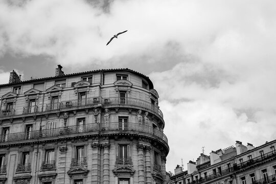 Black and white Marseille
