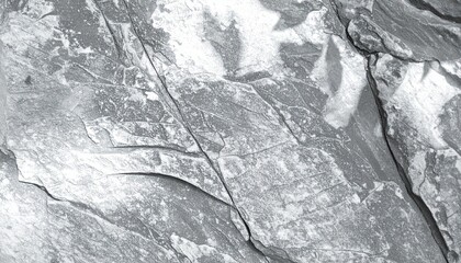 Stone texture with subtle leaf pattern creating natural botanical abstract background.