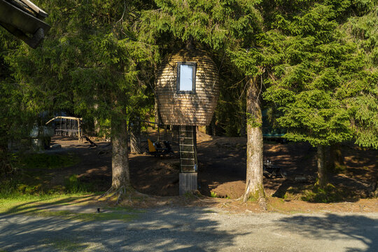 View of a wooden treehouse nestled among tall green trees, a whimsical escape into nature's embrace, casting shadows on the forest floor, Bergen, Vestland, Norway.