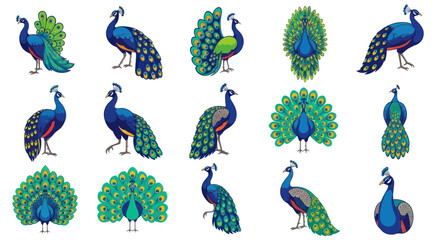 Obraz premium Collection of Diverse Peacock Poses and Displays