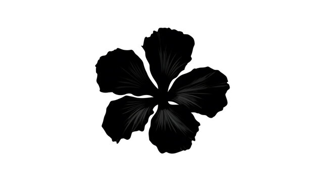 A unique monochrome close-up of a five-petal flower