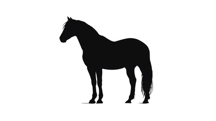 Fototapeta premium A majestic horse in silhouette standing gracefully against a simple background. The horse's form is highlighted