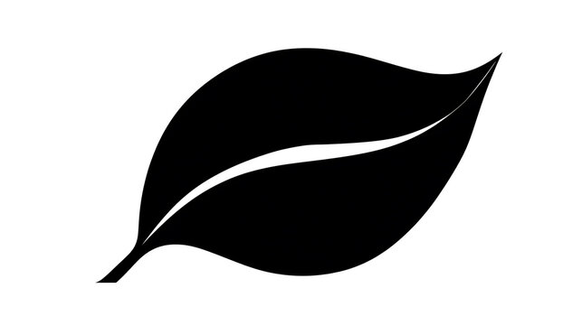 A silhouette of a leaf with a prominent midrib against a minimalist backdrop