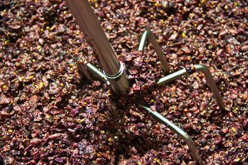 Maische Trauben pressen