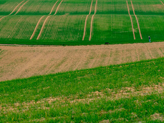 Obraz premium Hügelige Agrarlandschaft im Frühjahr