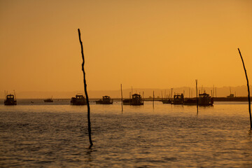 Péninsule du Cap-Ferret, Bassin d'Arcachon, France, Gironde, Nouvelle-Aquitaine,  © Bob