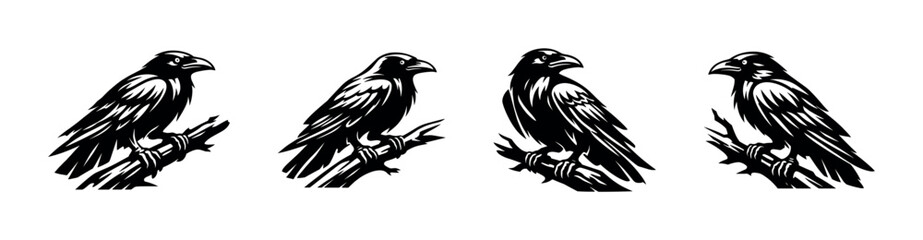 Fototapeta premium Set of four black and white raven silhouette illustrations on branches