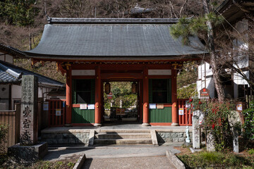 Obraz premium Row of moss covered Buddhist stone statues at Otagi Nenbutsuji Temple in Kyoto, Japan. Traditional Japanese temple culture and spiritual heritage.