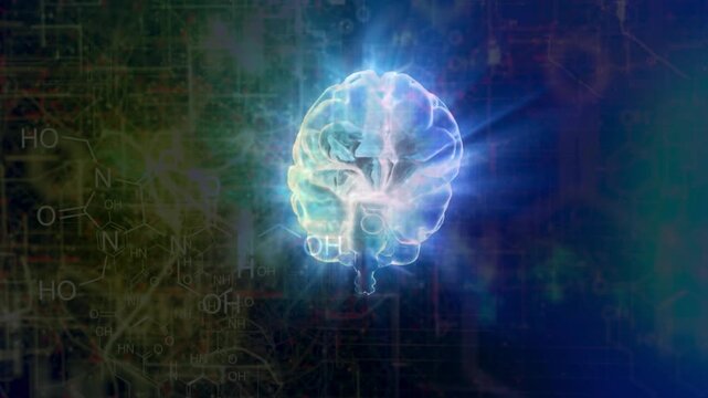 Human brain anatomy science concept medical with Science, Math, Chemistry Equations animation.