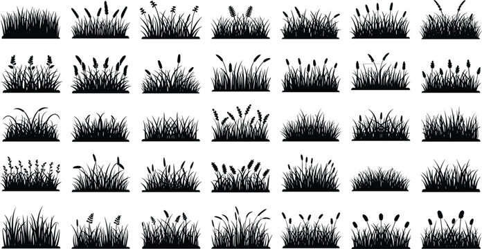 Black silhouettes of various grasses and plants on white background