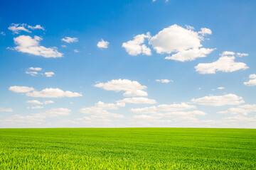 Naklejka premium Vibrant verdant fields under a bright blue sky filled with fluffy clouds on a sunny day. Photo wallpaper.