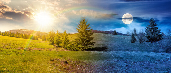 panorama of a beautiful countryside. day meet night. sun and moon over wonderful springtime landscape in mountains at twilight. spruce forest, grassy field and rolling hills. rural scenery © Pellinni