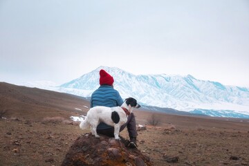 Back view of a person in a red beanie sitting with a dog on a rock, looking at vast snow-capped mountains. This atmospheric lifestyle image is suitable for travel marketing, pet companionship themes © Lana Kray