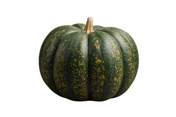 Green kabocha squash with yellow speckles on transparent background finding its use in autumn harvest and healthy organic cooking