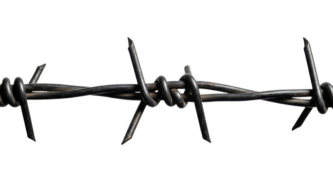 Closeup of a section of barbed wire isolated on transparent background with sharp points