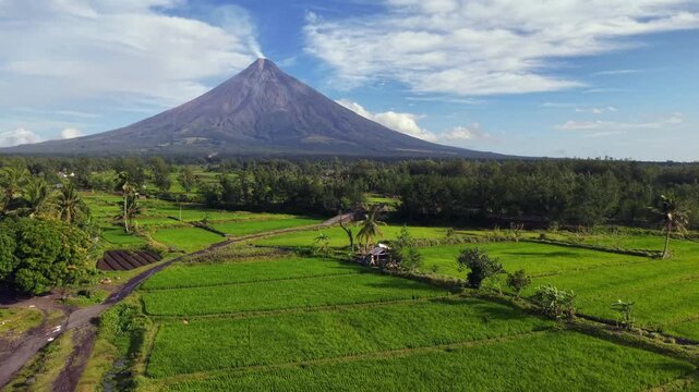 Mayon Volcano. Aerial view shows vibrant green rice fields stretching toward distant volcanic peak. Clouds drift over forested slopes and clear blue sky. Mountain dominates landscape with subtle haze