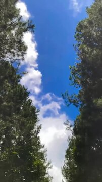 sky and clouds